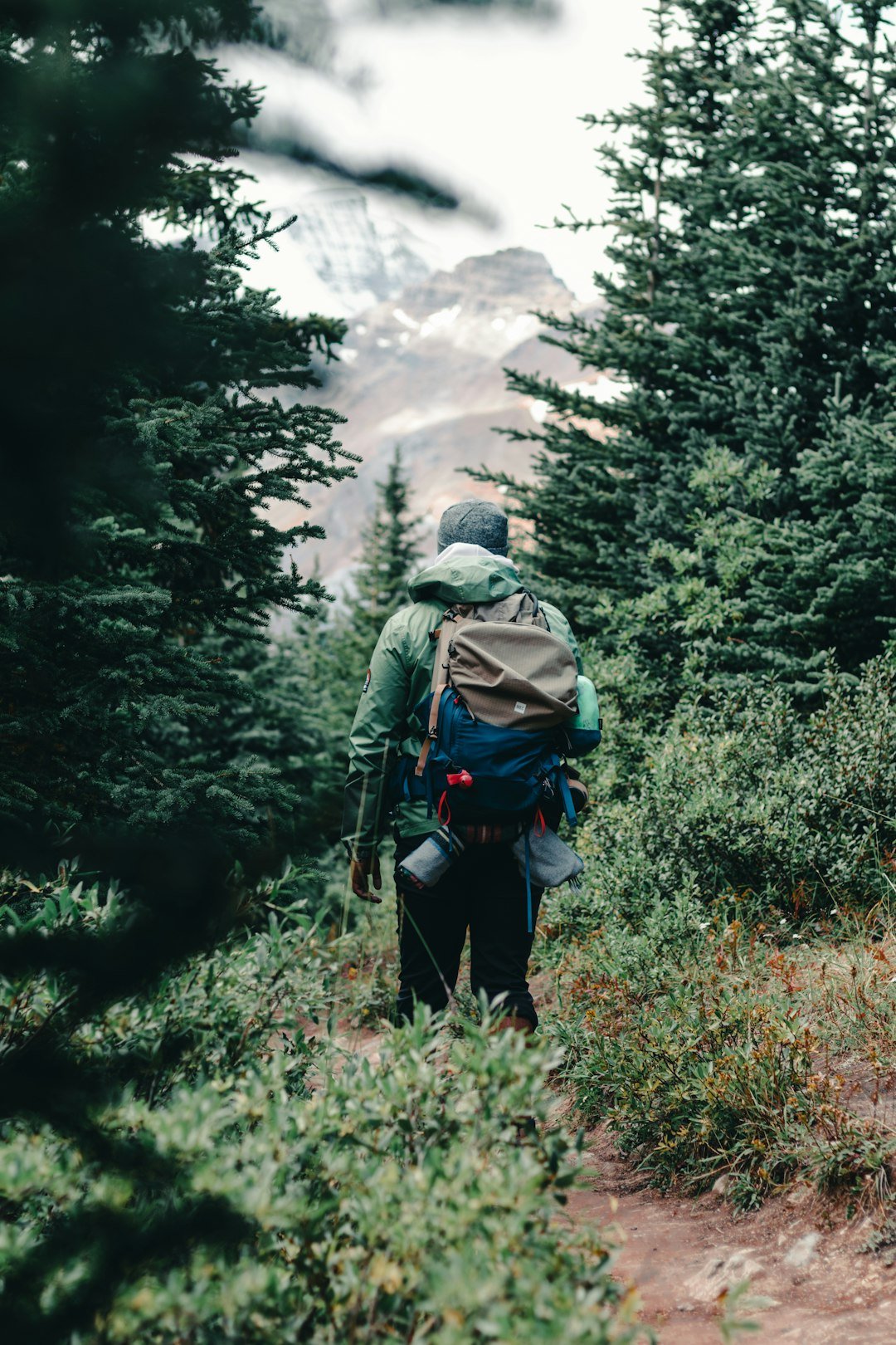 Into the hidden mountains